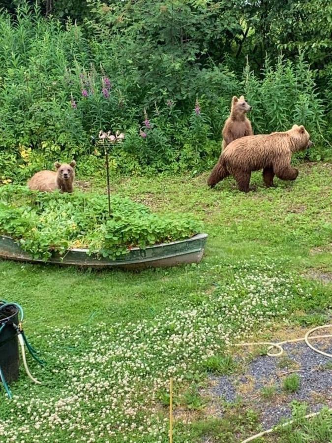 Resurrection River Rentals Seward Esterno foto