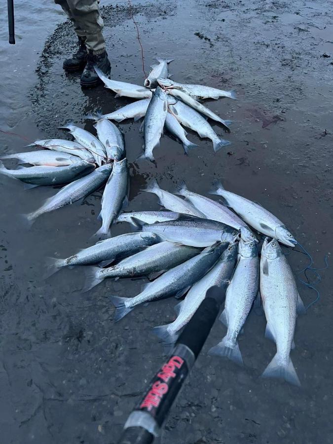 Resurrection River Rentals Seward Esterno foto