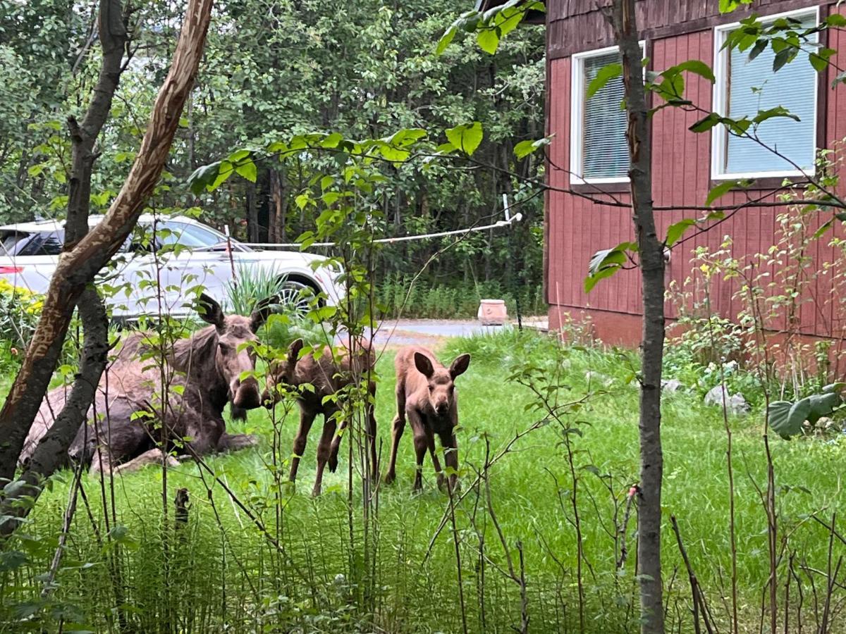 Resurrection River Rentals Seward Esterno foto