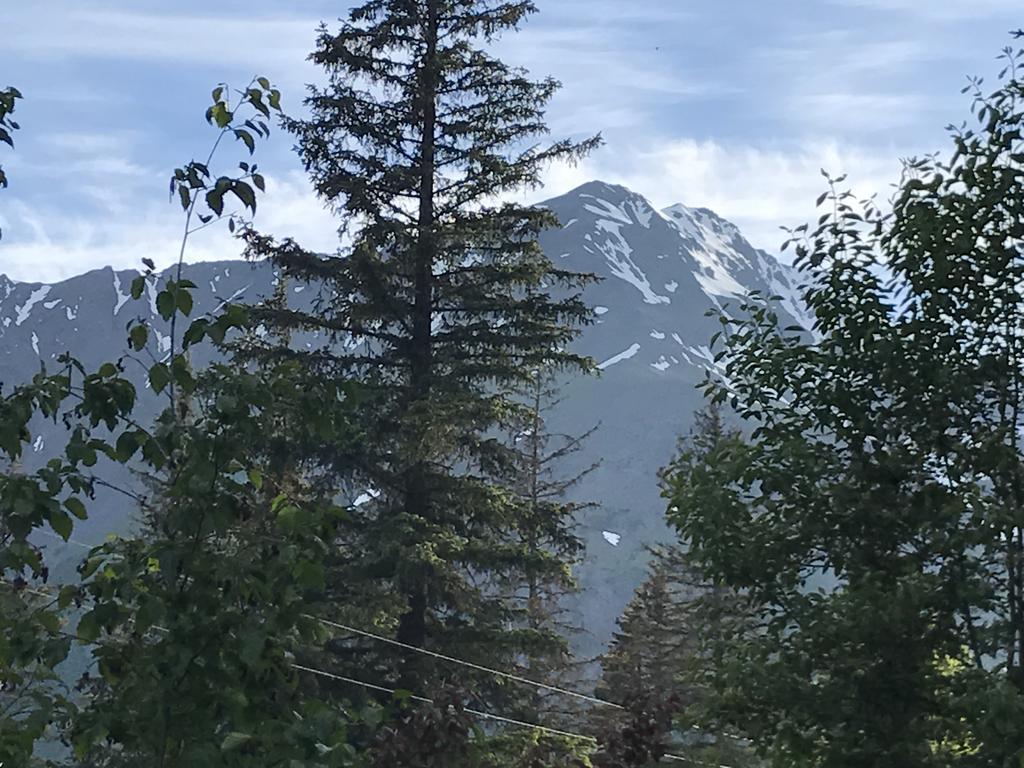 Resurrection River Rentals Seward Esterno foto